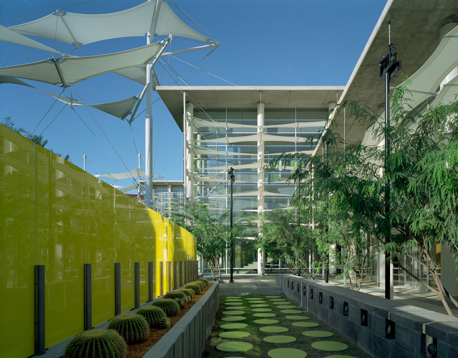 Mesa Arts Center Bora