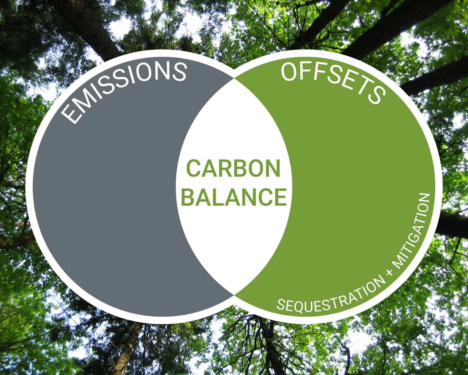 striving-for-a-carbon-neutral-office-bora